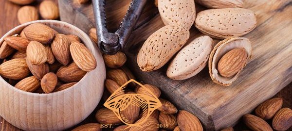 Mỗi ngày nên ăn bao nhiêu hạt hạnh nhân