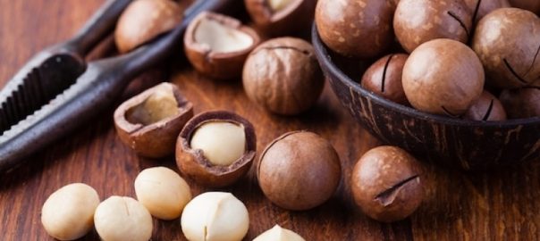 Hạt macca Úc – cách chọn hạt mắc ca Úc chất lượng nhất
