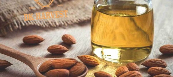 Dầu hạnh nhân – Những tác dụng mà bạn có thể chưa biết