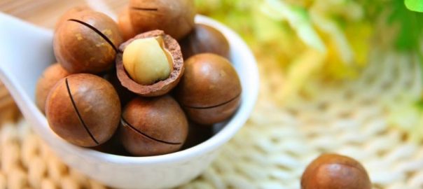 Hình ảnh hạt macca sẽ giúp bạn nhận biết được chất lượng