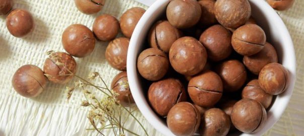 Hạt macca có tác dụng gì ? Cùng tìm hiểu nhé