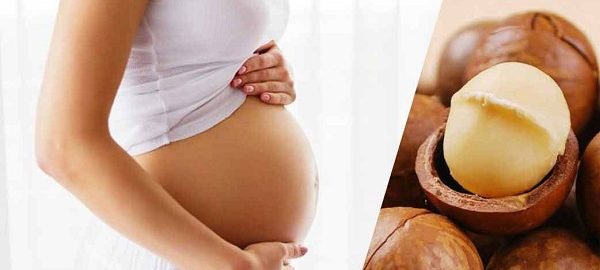 Bà bầu có nên ăn hạt mắc ca hay không?