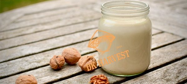 Sữa quả óc chó – Cách chế biến sữa hạt óc chó tại nhà