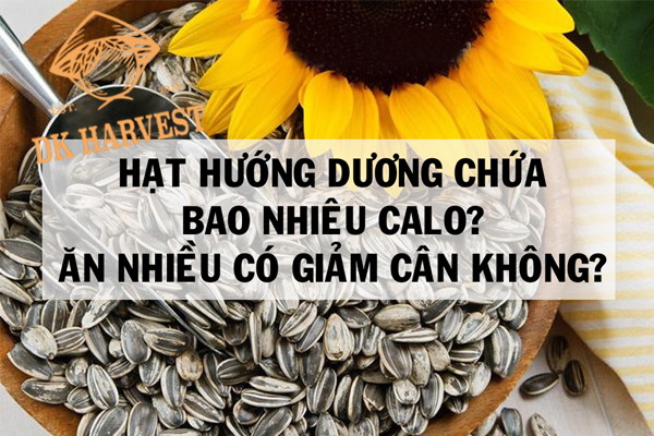 an huong duong co bi beo khong