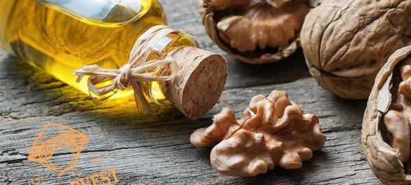Dầu quả óc chó – công dụng và cách sử dụng tốt cho sức khỏe