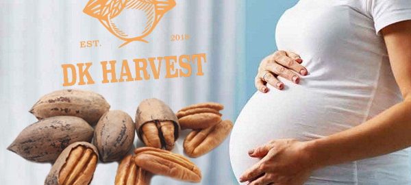 Công dụng của quả hồ đào với bà bầu – 7 tác dụng thần kỳ nhất