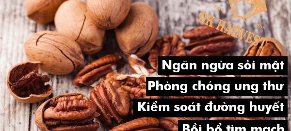 Hạt Hồ đào Pecan là gì? Những thông tin cần biết về loại quả này