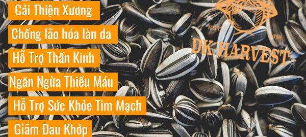 Hạt hướng dương – 7 tác dụng của hạt hướng dương với sức khỏe