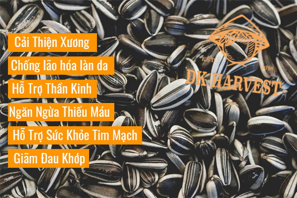 nhung tac dung cua hat huong duong