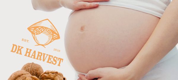 Quả óc chó cho bà bầu – Nên Ăn bao nhiêu hạt mỗi ngày tốt nhất