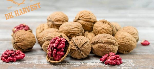Quả óc chó đỏ – Vì sao gọi là thực phẩm siêu dinh dưỡng?