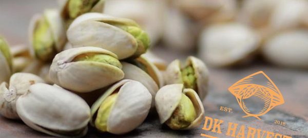 Giá hạt dẻ cười bao nhiêu 1kg? Giá cập nhật mới nhất hiện nay