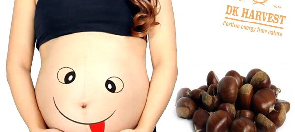 Bà bầu ăn hạt dẻ có tốt không? Cùng đi tìm câu trả lời