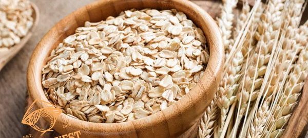 Yến mạch – Nữ hoàng của các loại ngũ cốc