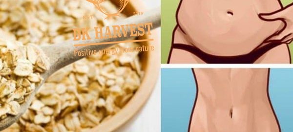 Giảm cân bằng yến mạch thế nào hiệu quả an toàn?