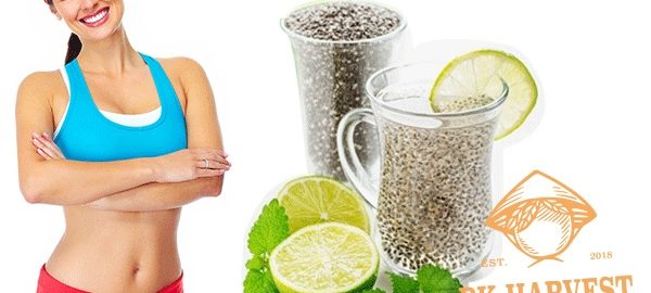 Hạt chia giảm cân dùng thế nào an toàn, hiệu quả
