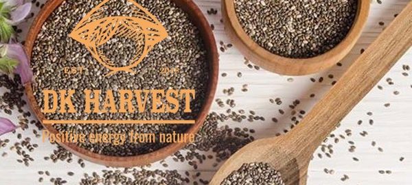 Hạt chia – Những công dụng bất ngờ mà chúng ta chưa biết