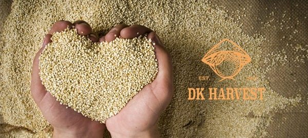 Hạt diêm mạch – quinoa là gì? Tác dụng và cách sử dụng hiệu quả