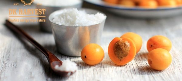 Cách ngâm quả mơ – Cách làm ô mai mơ khô – mứt mơ đúng chuẩn