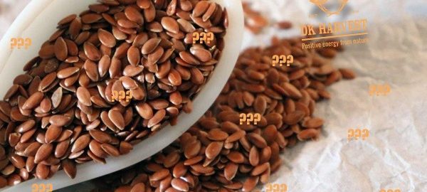 Mua hạt lanh ở đâu? Địa chỉ bán hạt lanh tại Tphcm, Hà Nội