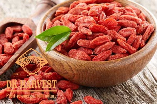 Những tác dụng thần kỳ của câu kỷ tử