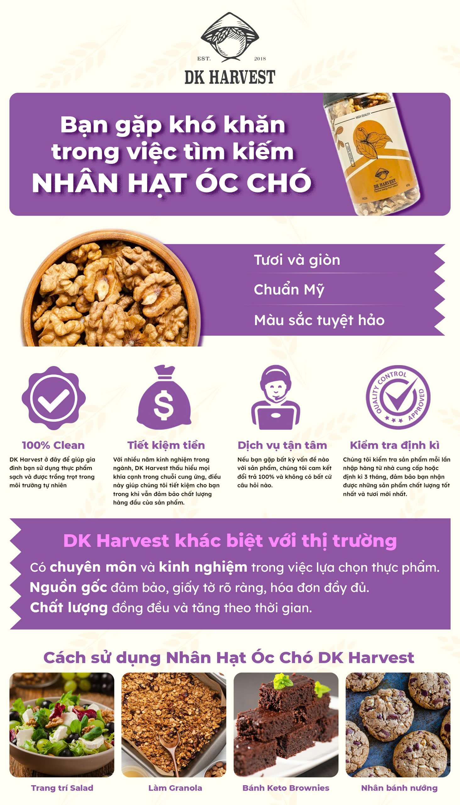 óc chó