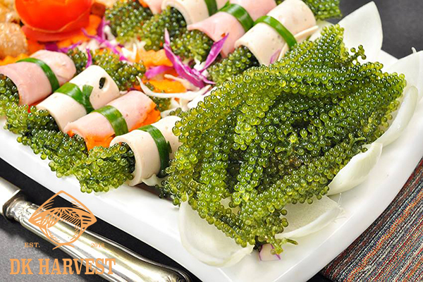 rong nho là gì